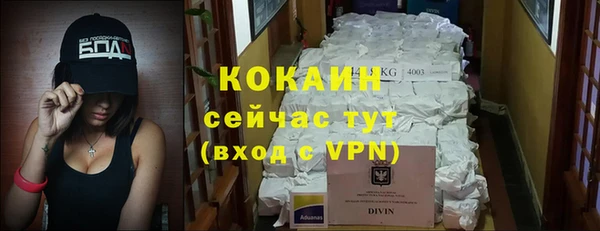 мдпв Волоколамск