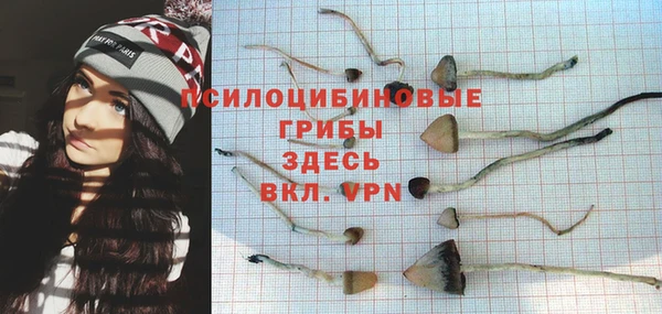 мдпв Волоколамск